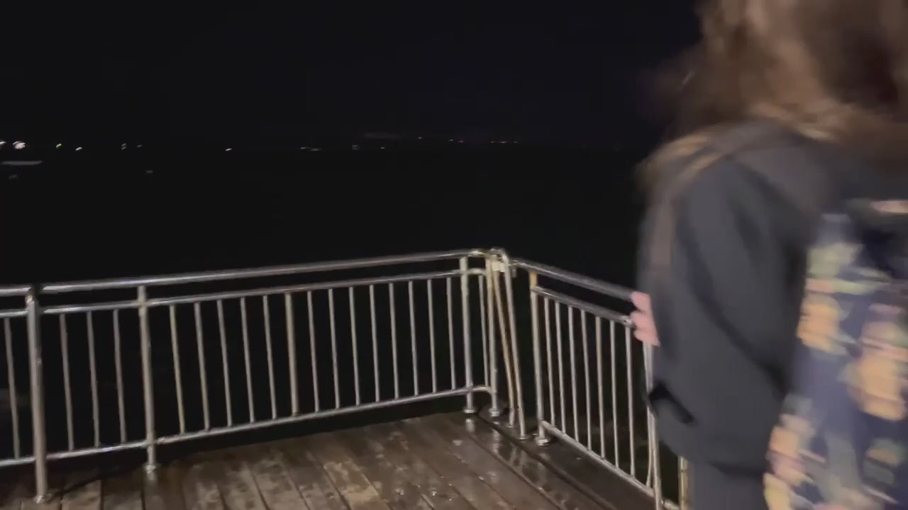 Načíst video: 