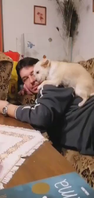 Načíst video: 