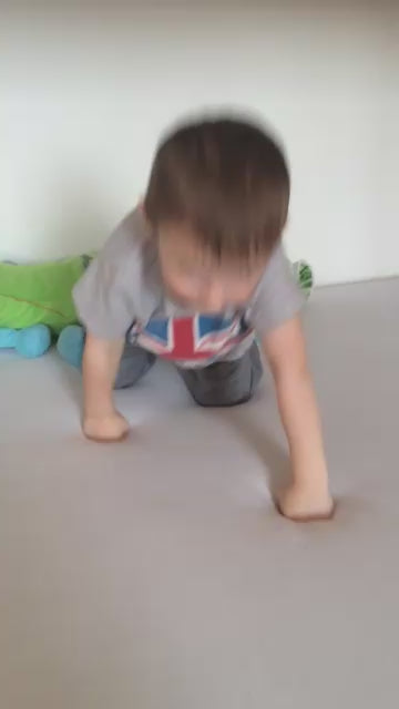 Načíst video: 