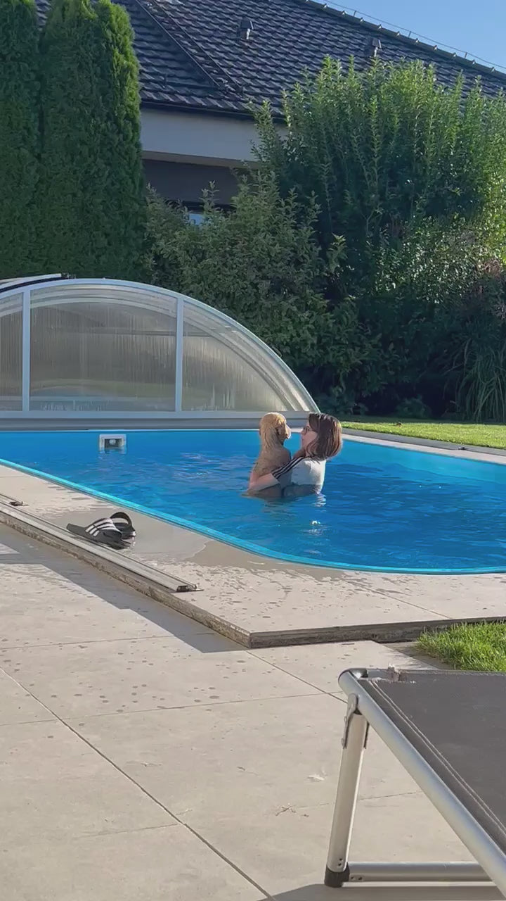 Načíst video: 